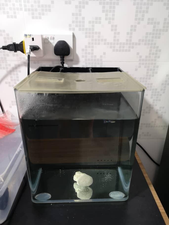 Ocean Free Nano Space 2 24l Aquarium Pet Supplies For Fish Fish Tanks On Carousell