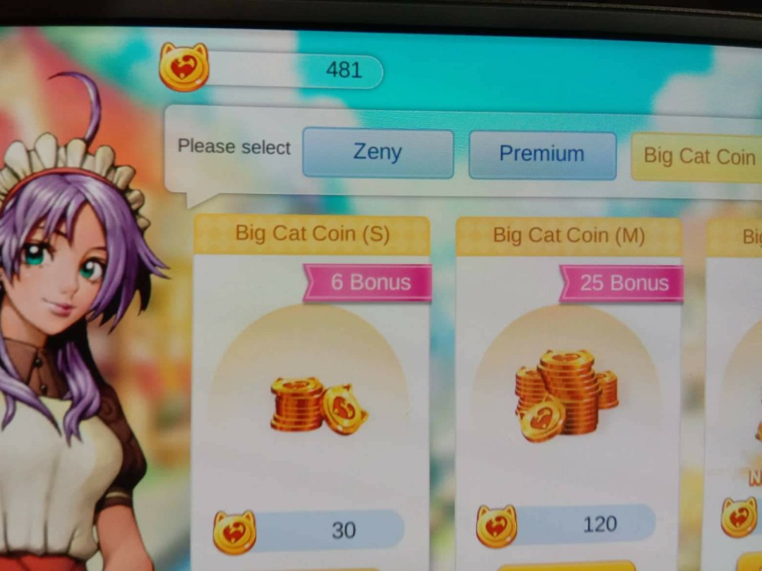 Ragnarok Mobile Eternal Love Zeny And Coins Toys Games Video