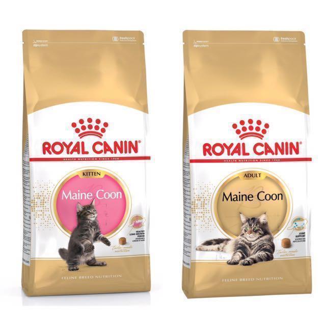 Royal Canin Maine Coon Kitten Adult Cat Dry Cat Food Pet Supplies On Carousell