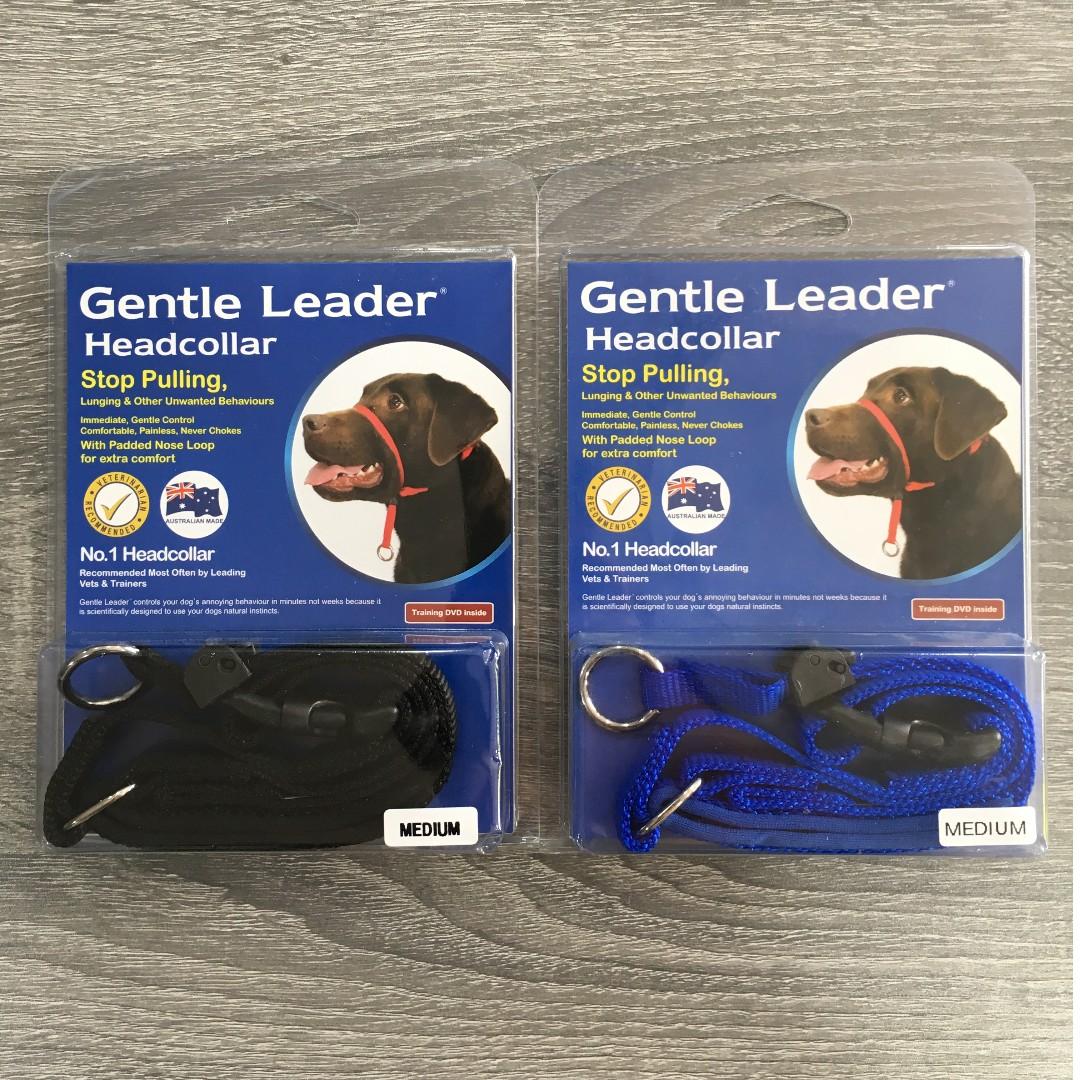 Beau pets sale gentle leader