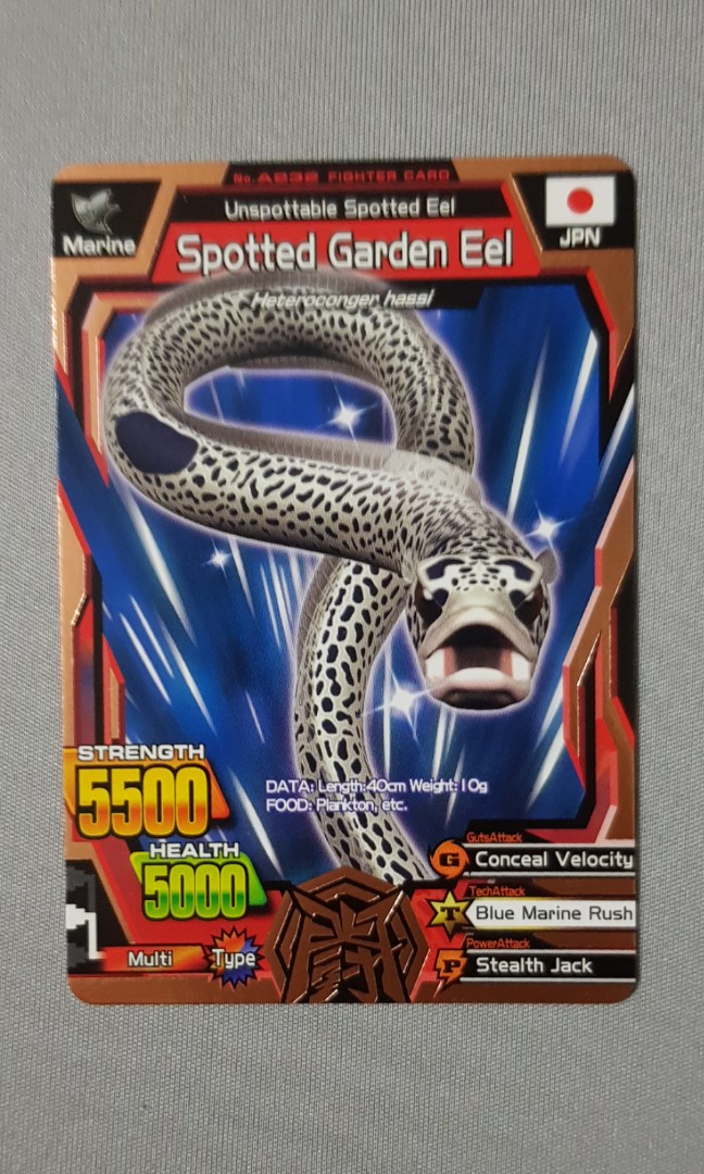 Animal Kaiser Spotted Garden Eel Bronze Rare Fighter Card Toys Games Board Games Cards On Carousell