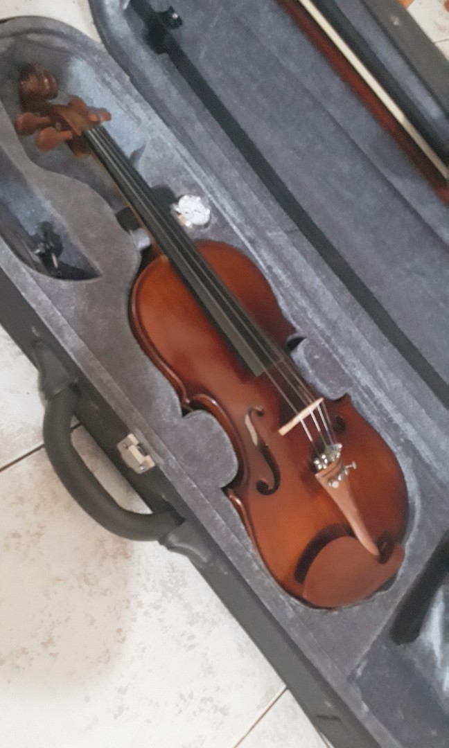 Bachendorff Pro Series 4/4 Violin, Hobbies & Toys, Music & Media 