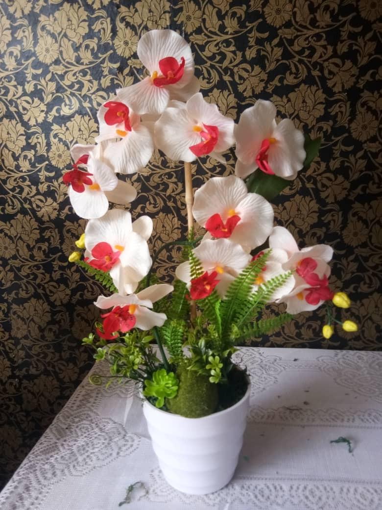 Bunga Orkid Hiasan Murah Home Furniture Home Decor On Carousell