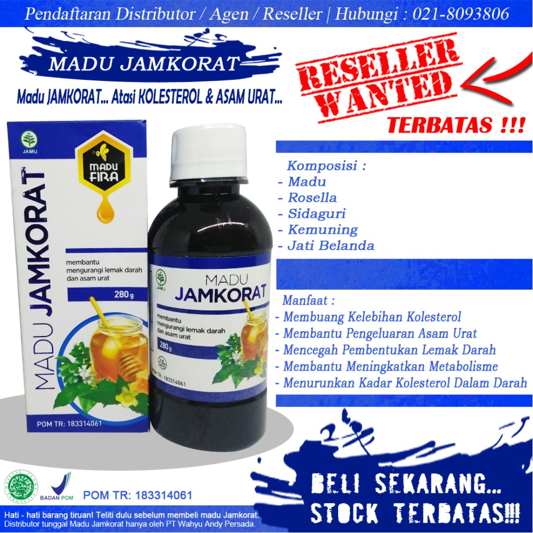  Obat  Herbal Untuk Kolesterol  Dan Asam Urat