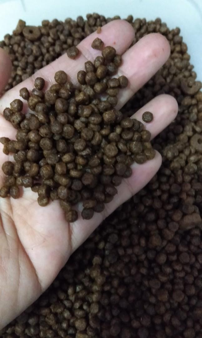 Makanan Kucing Happy Cats Kitten Repack 500gr Pet Supplies Food