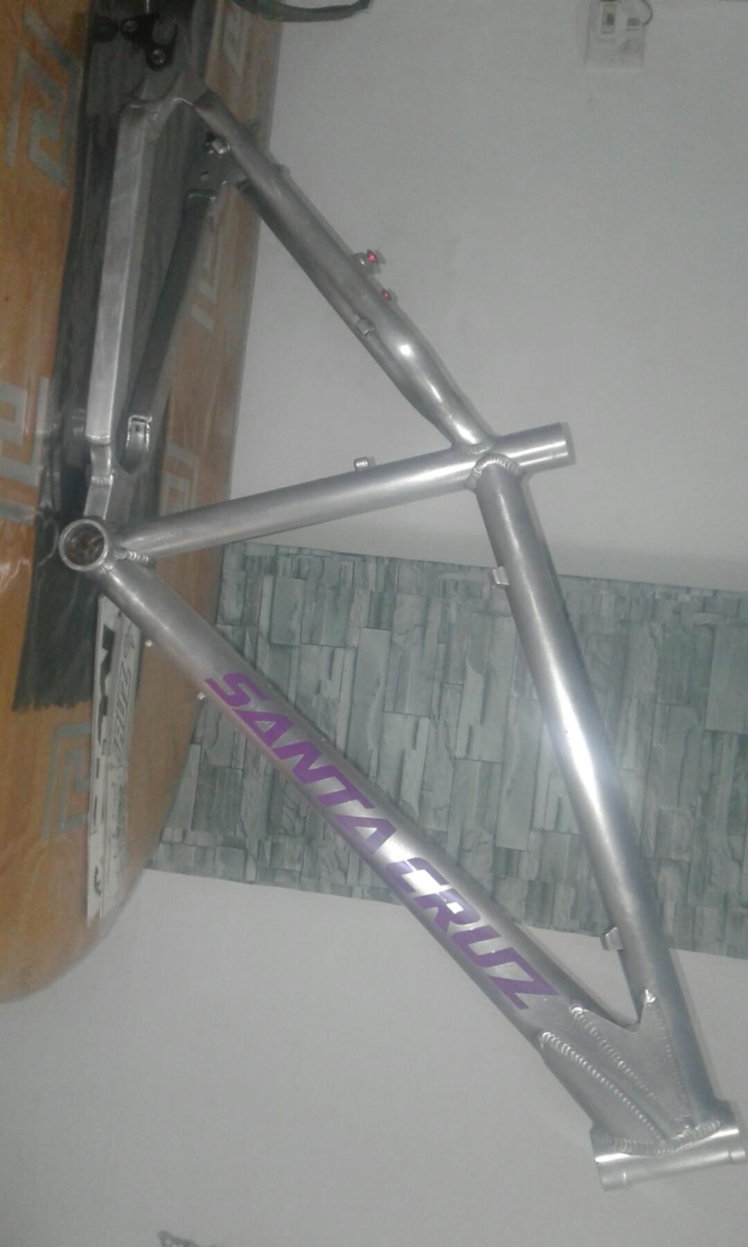 2007 santa cruz chameleon