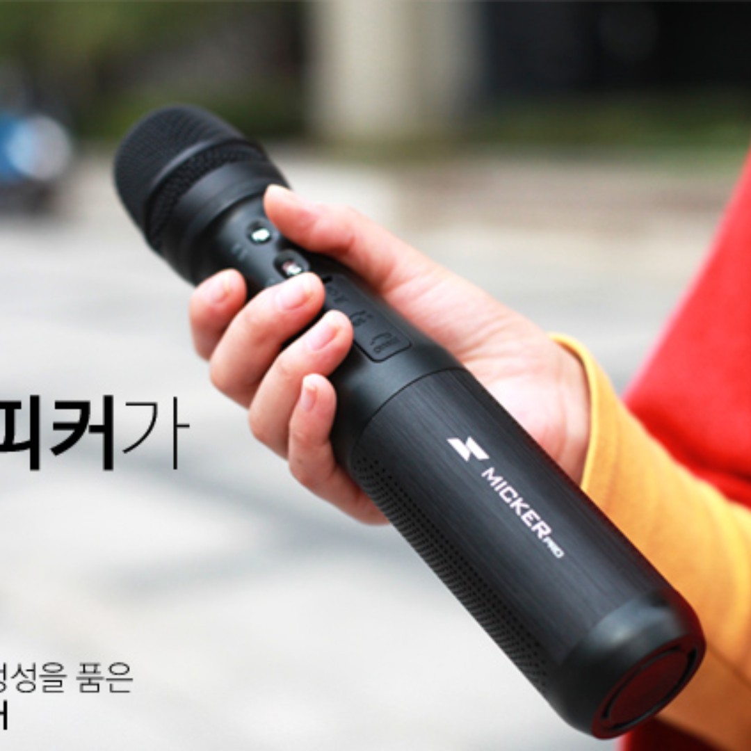 portable microphone and speaker system