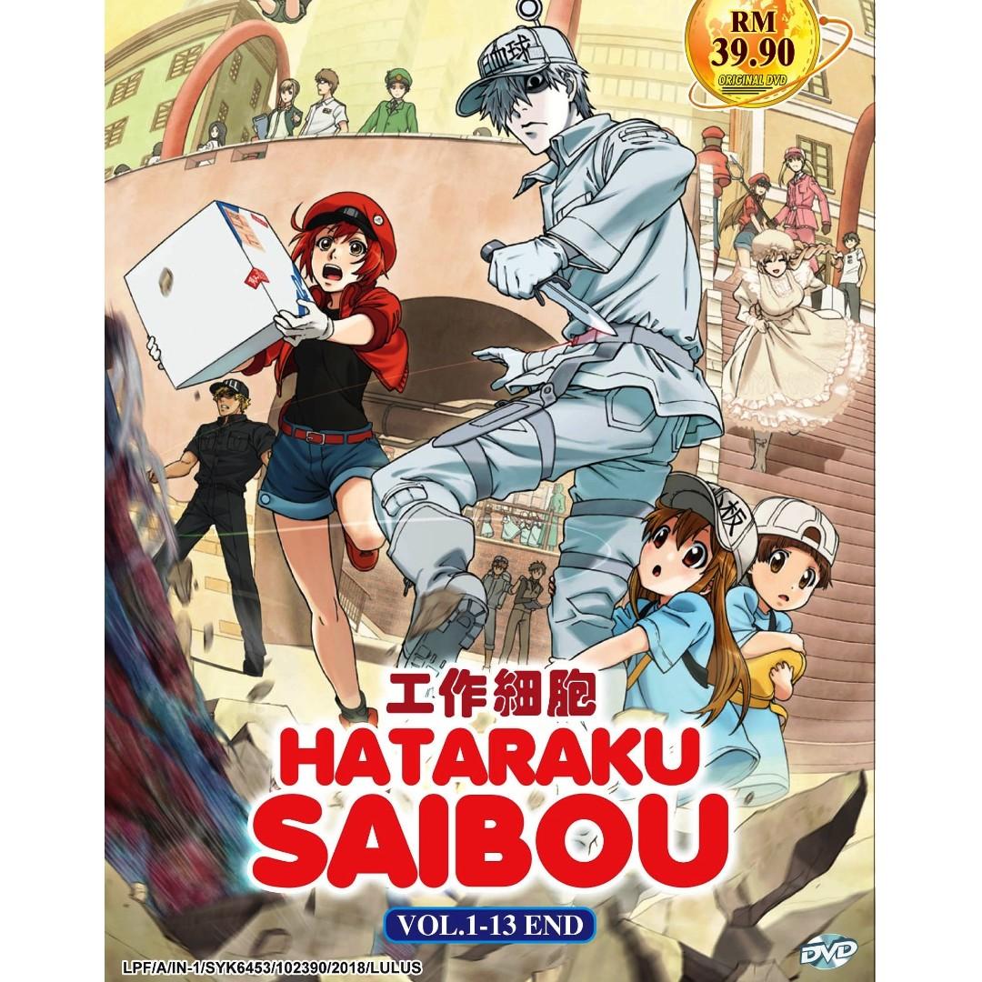 DVD】Hataraku Saibou: Cell At Work Special [Eng Sub]