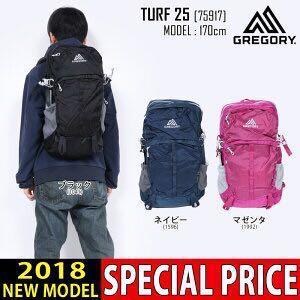 gregory 25l backpack