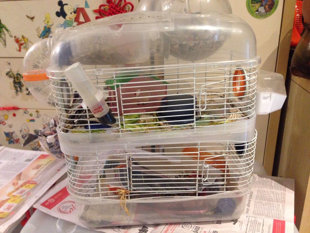 double hamster cage