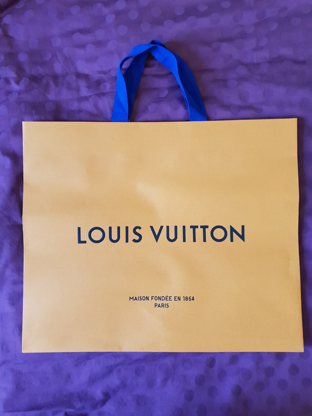 Louis Vuitton LV Paper Bag, Luxury, Accessories on Carousell
