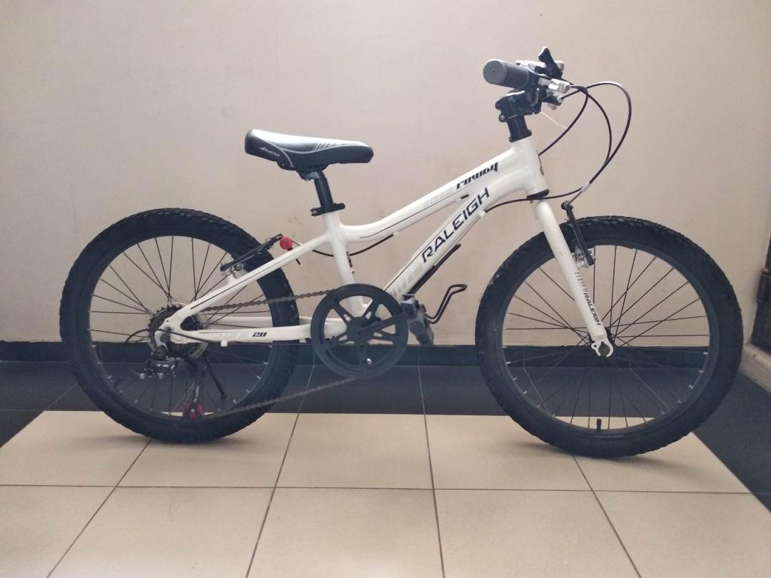 raleigh rowdy 16 used