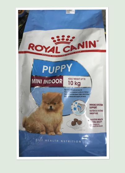 Royal Canin Mini Indoor Junior Pets Supplies Pet Food On Carousell