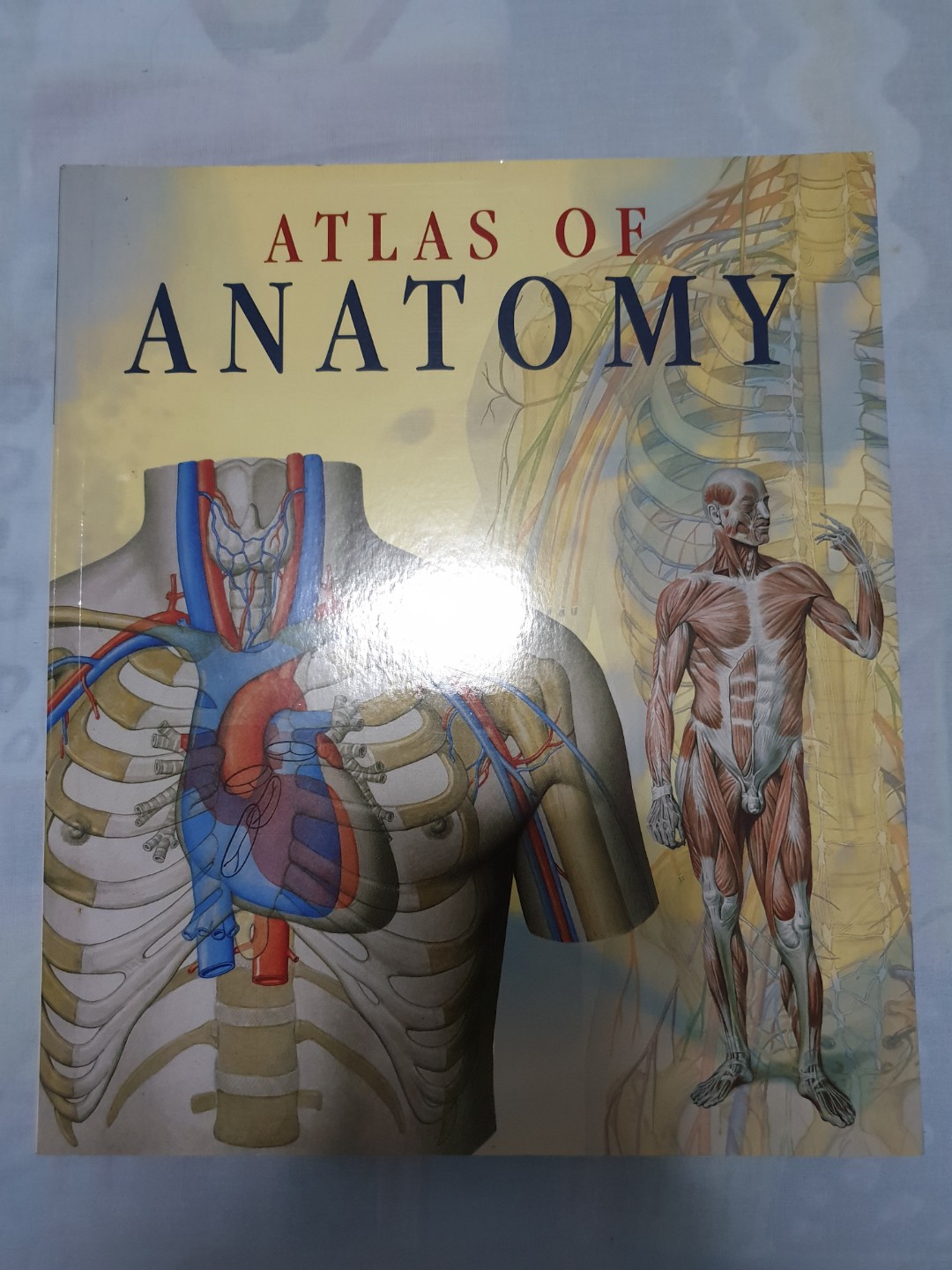 Atlas of anatomy, Hobbies & Toys, Books & Magazines, Assessment Books ...