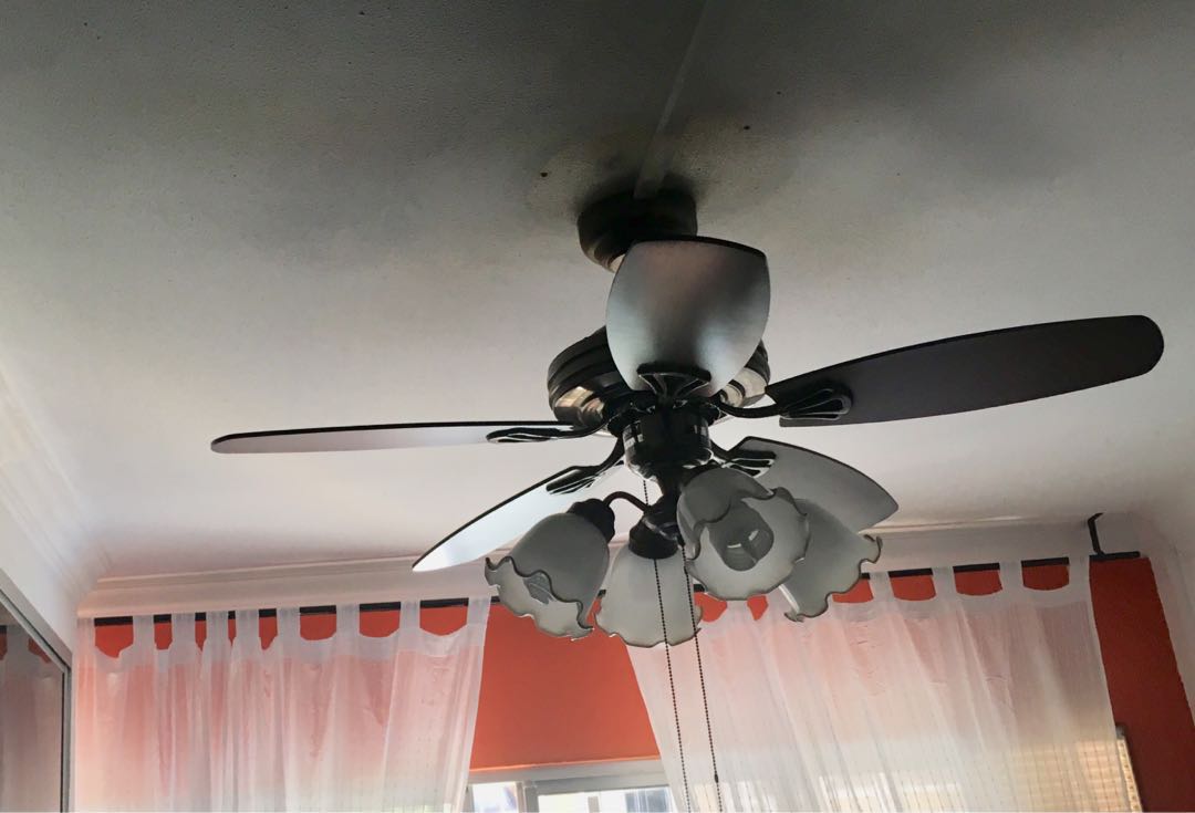 Ceiling Fan With 5 Blades And 4 Lights Home Appliances Cooling