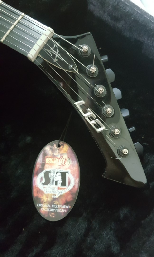 ltd hetfield