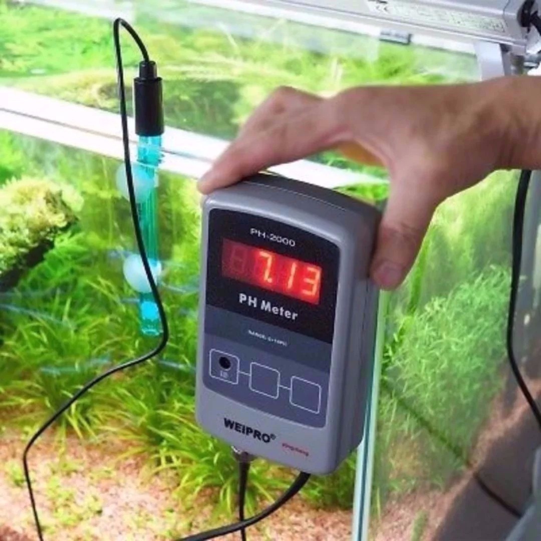 SALES!! Weipro PH2000 PH Meter with Probe for Aquarium Fish Tank, Pet