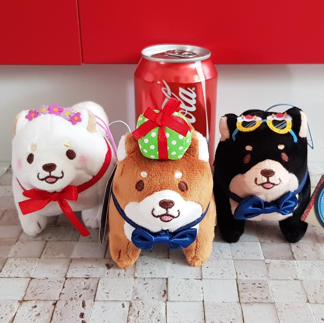 Amuse collection shiba store