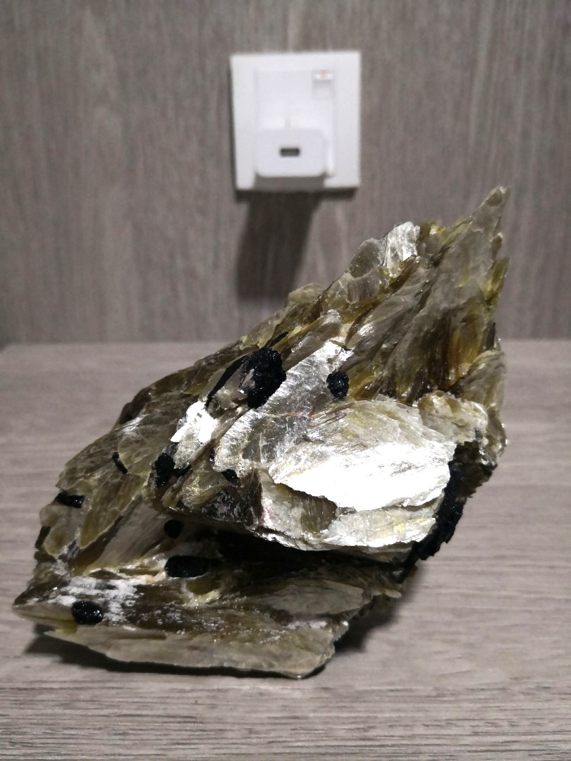 Golden mica with black clearance tourmaline