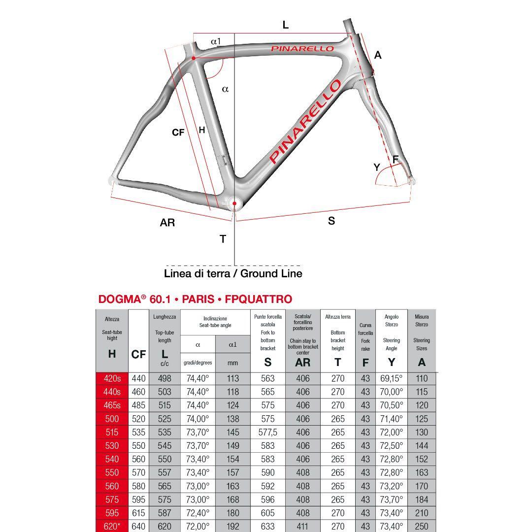 Pinarello sizing store
