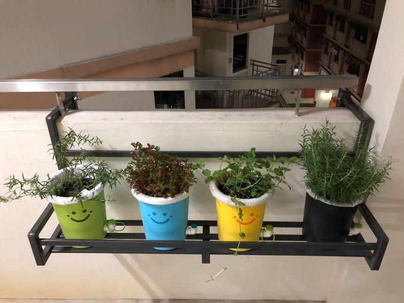 Plant Racks Gardening Pots Planters On Carousell