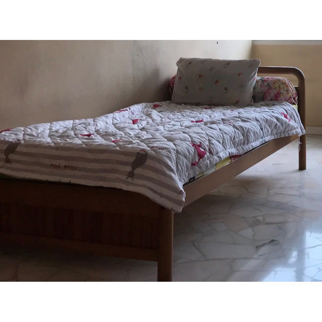 Solid Wood Single Beds for Sale, Furniture & Home Living, Furniture, Bed Frames & Mattresses on