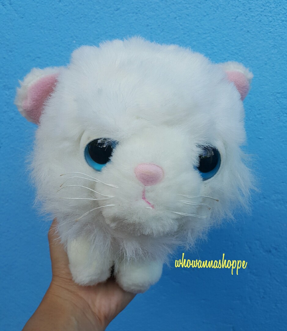 plush white cat