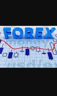 TRADE FOREX