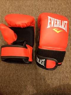 Everlast training gloves boxing gloves