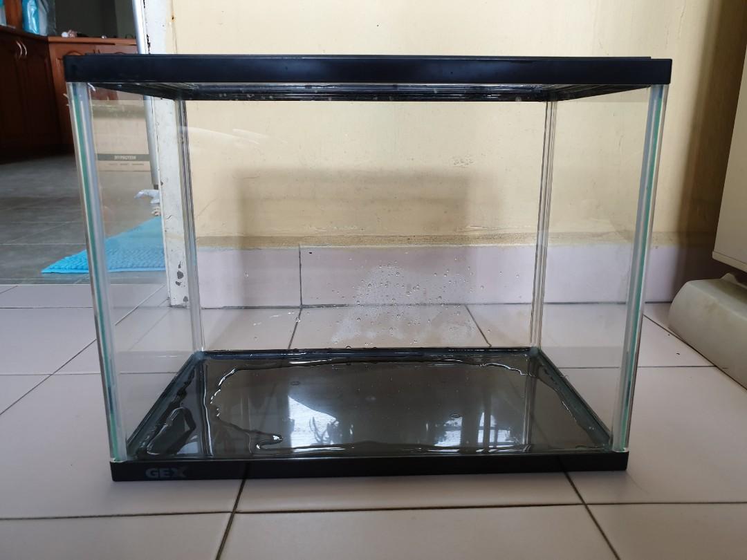 Aquascape Tank 30 Cm Aquascape Ideas