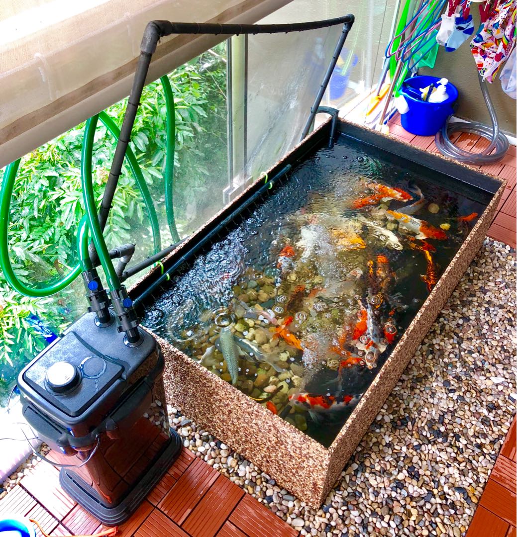 fish filtration system