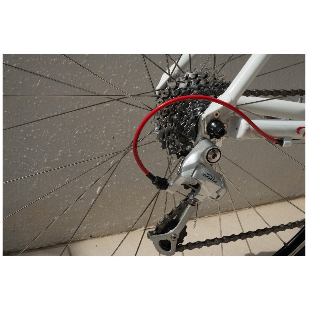 Wilier montegrappa 2012 sale