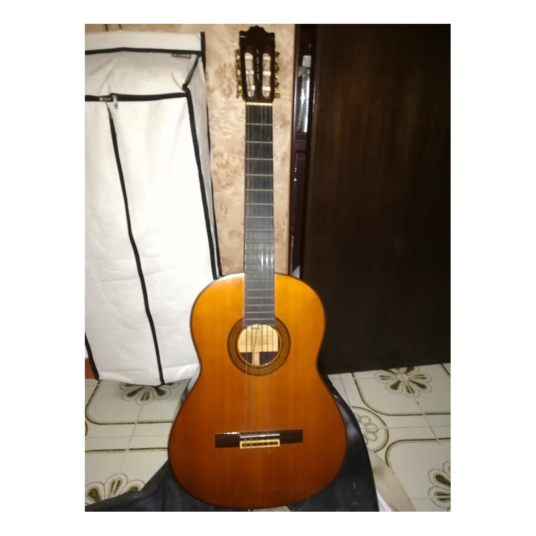 Yamaha g245s store