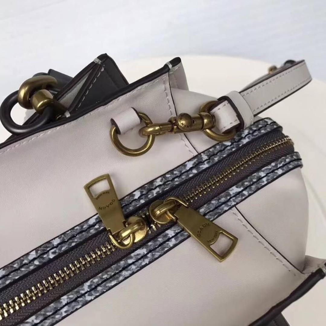 Authentic Coach Dreamer 36 In Colorblock With Genuine Snakeskin Detail 31645 Chalk