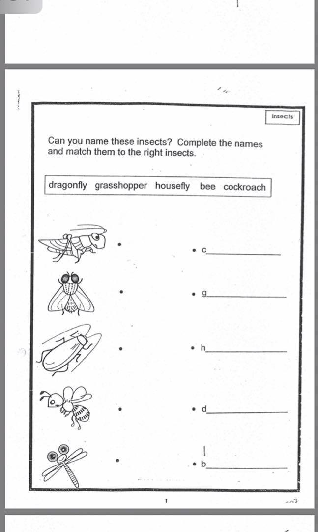 k2 kindergarten 2 worksheets hobbies toys books magazines assessment books on carousell
