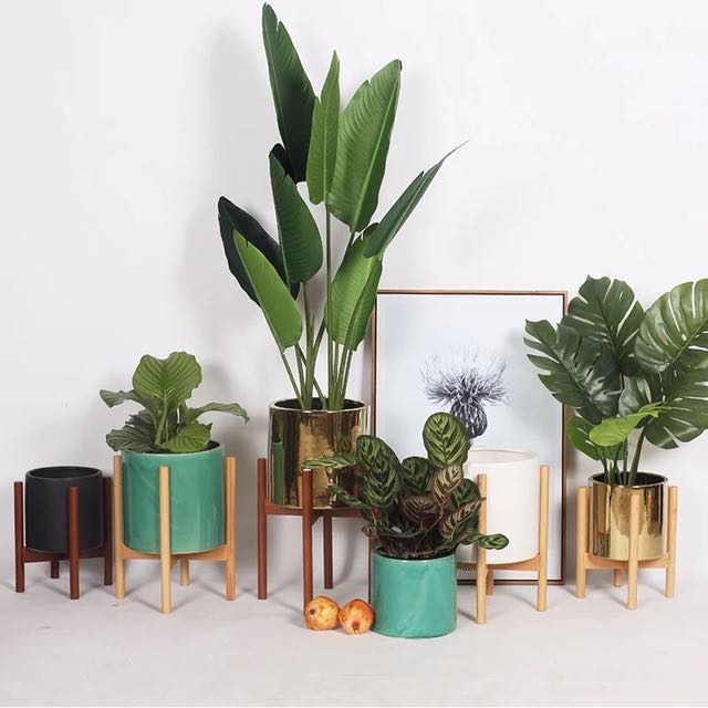 Po Ceramic Pot With Wooden Stand Gardening On Carousell