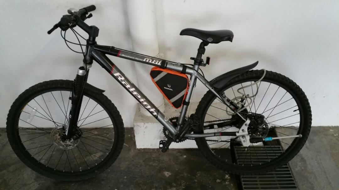 Raleigh M80