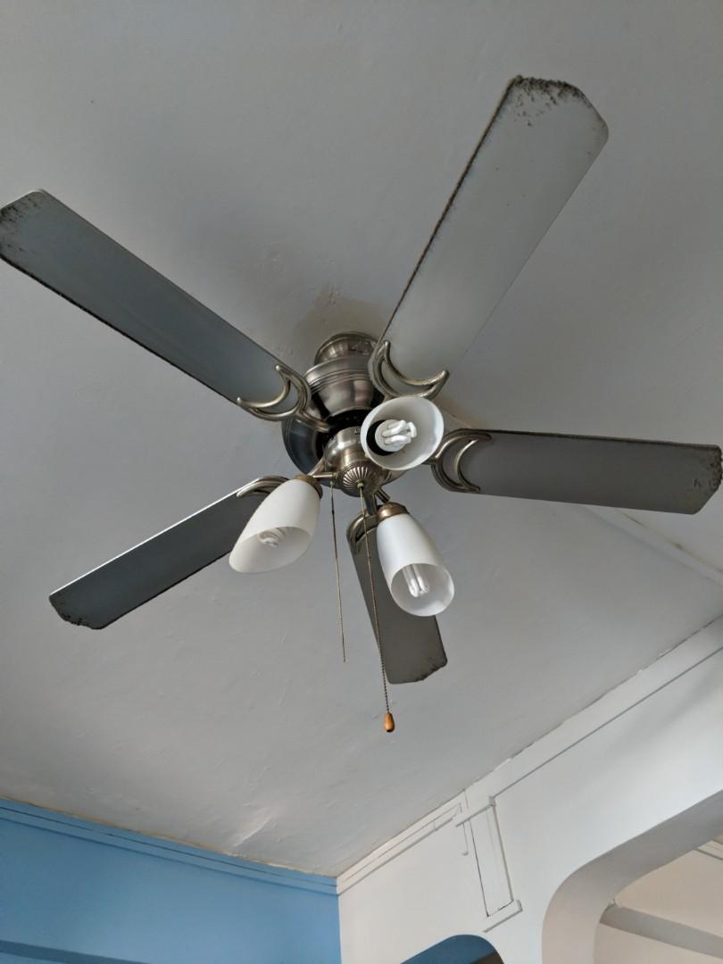 Used Ceiling Fan With Lights