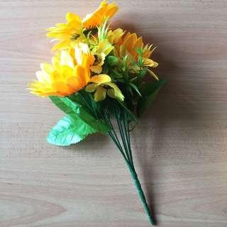 Sunflower stalk