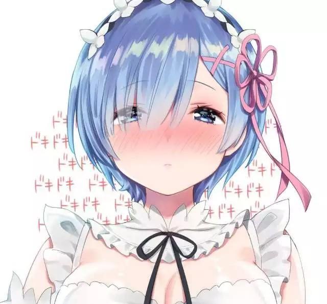 Dakimakura akihabara store