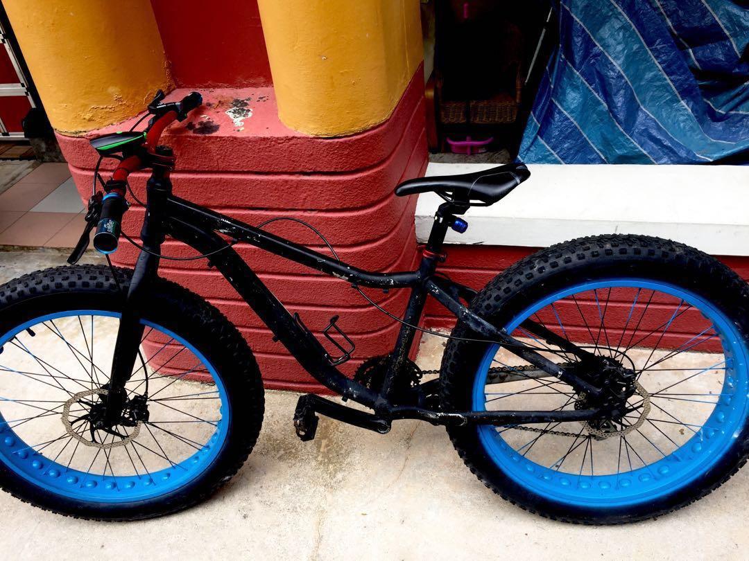 fat bike raleigh