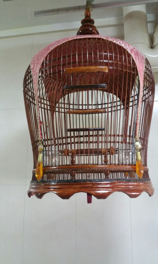 merbok bird cage for sale