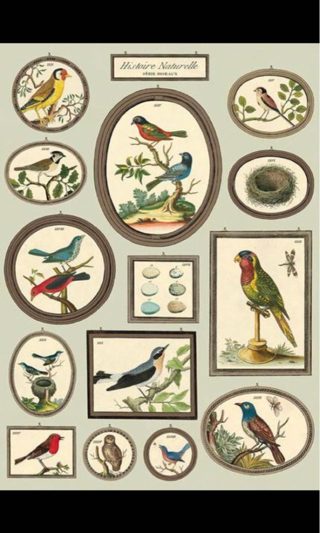 Cavallini Papers Furniture Home Decor Others On Carousell