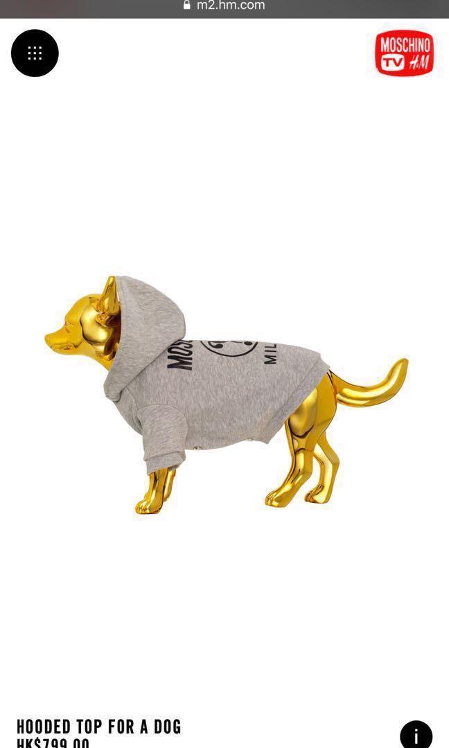 H&m moschino dog collection discount
