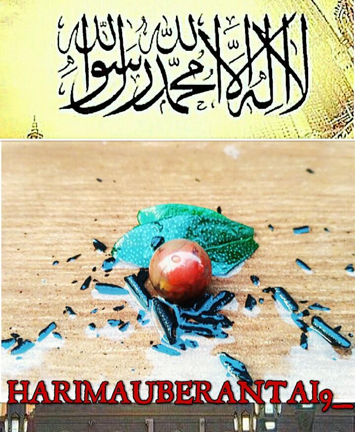 Mustika Geliga Raja Ular Cintamani Bunian Vintage Collectibles Vintage Collectibles On Carousell