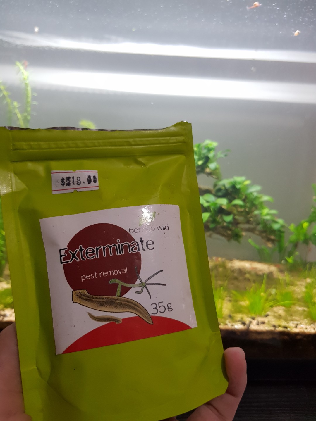 No Planaria/Hydra/Dewormer, Pet Supplies, Homes & Other Pet Accessories