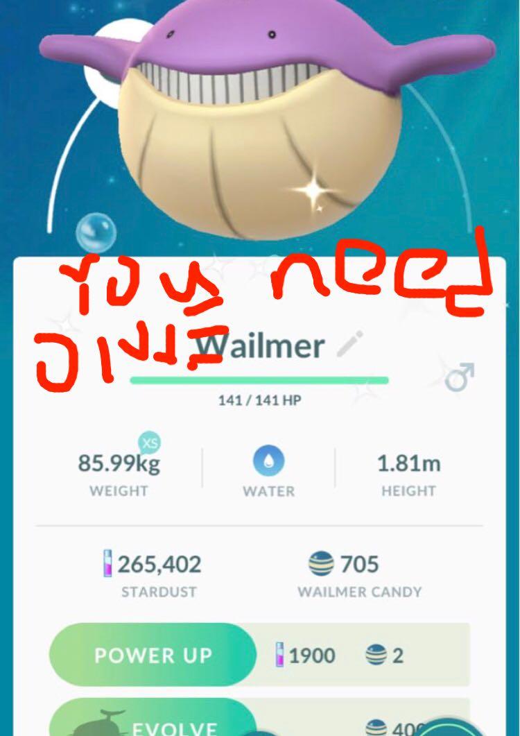Pokemon Go Shiny Wailmer Toys Games Video Gaming Video Games On Carousell