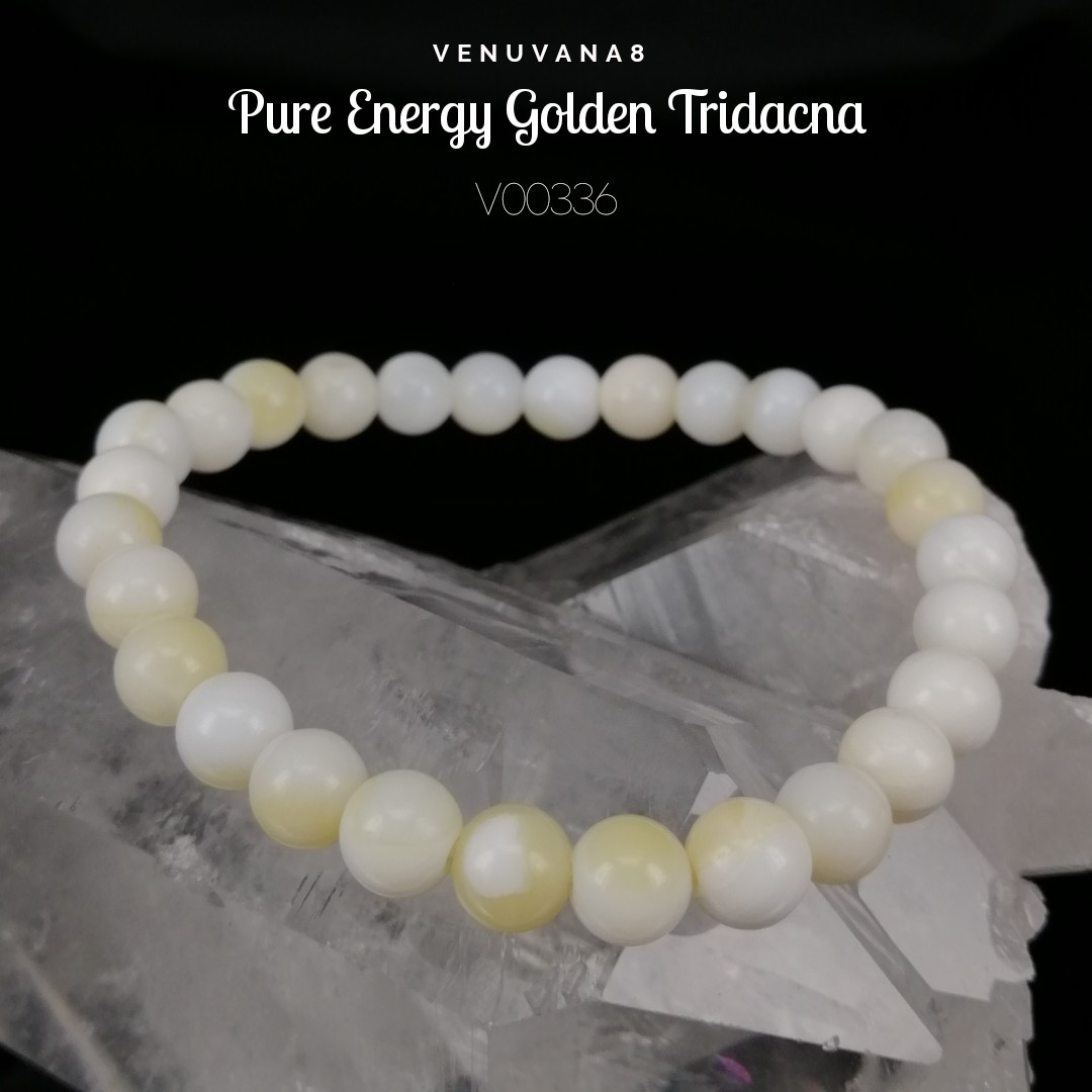 Tridacna bracelet on sale