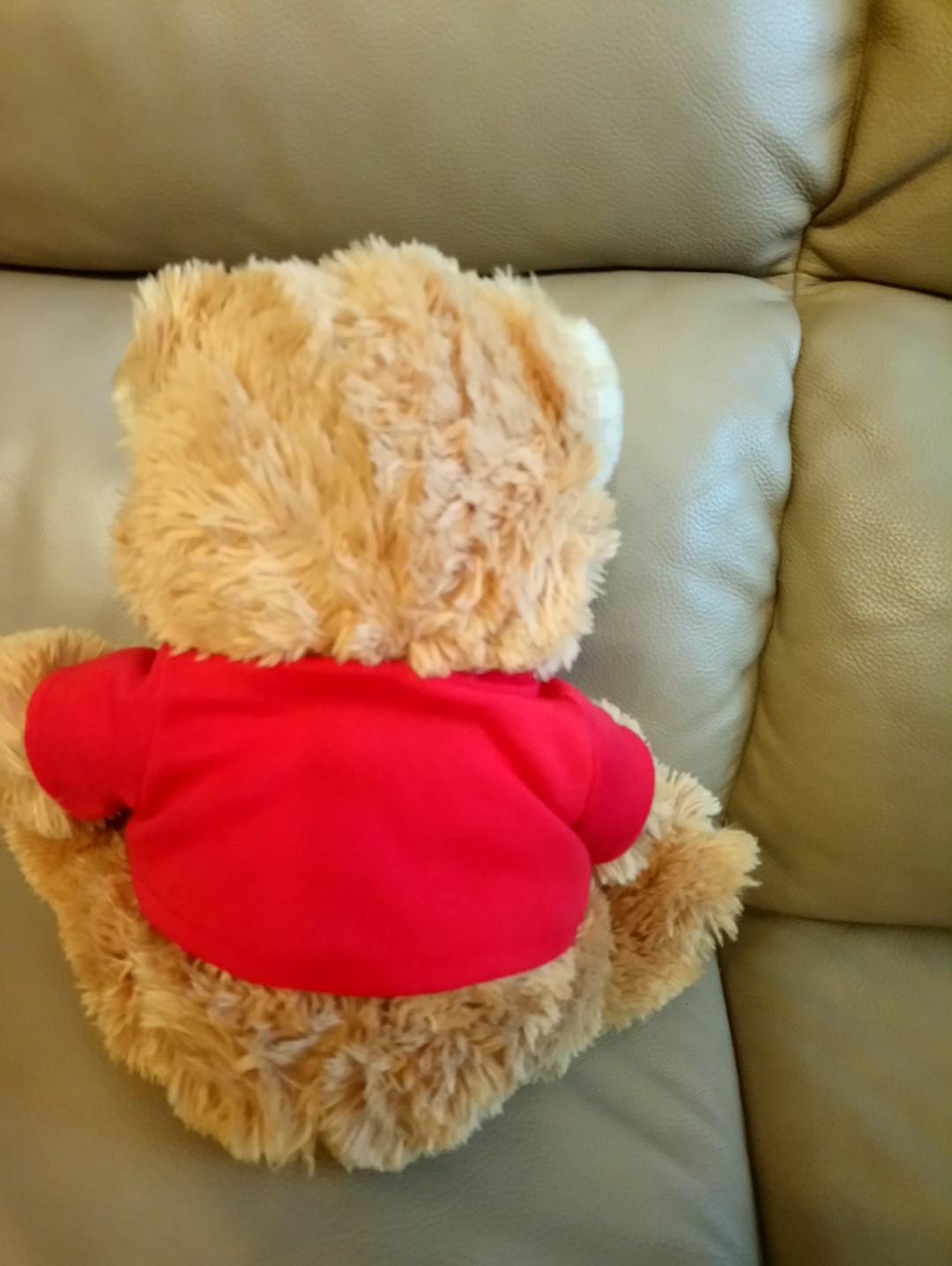 arsenal teddy bear