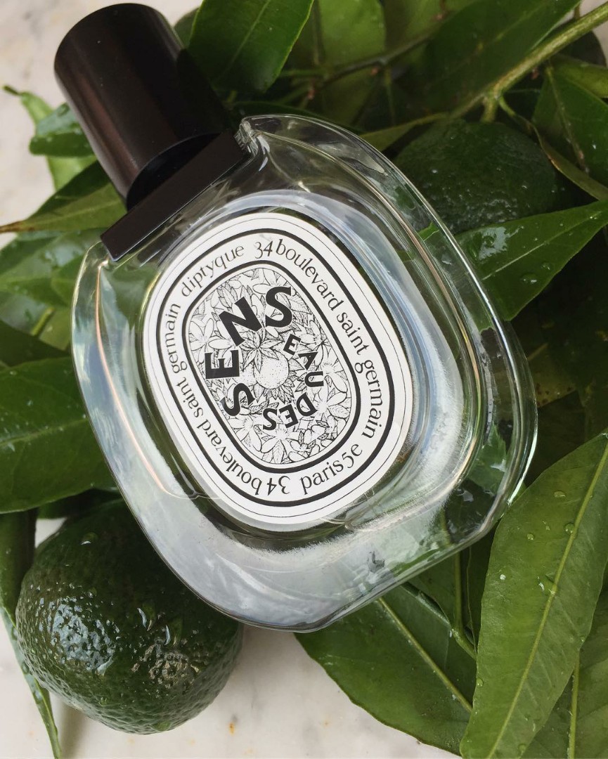 Perfume diptyque eau des sens original non box 50ml on Carousell